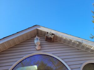 Wildlife Exclusion Services