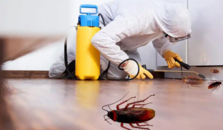 Expert Cockroach Control Services