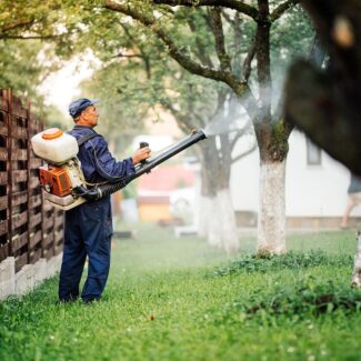 Professional Mosquito Control Services