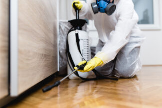 Woman exterminator in work wear spraying pesticide or insecticide with sprayer Professional Spider Control Services