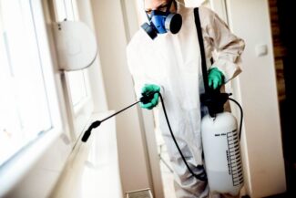 Best Mite Control Services